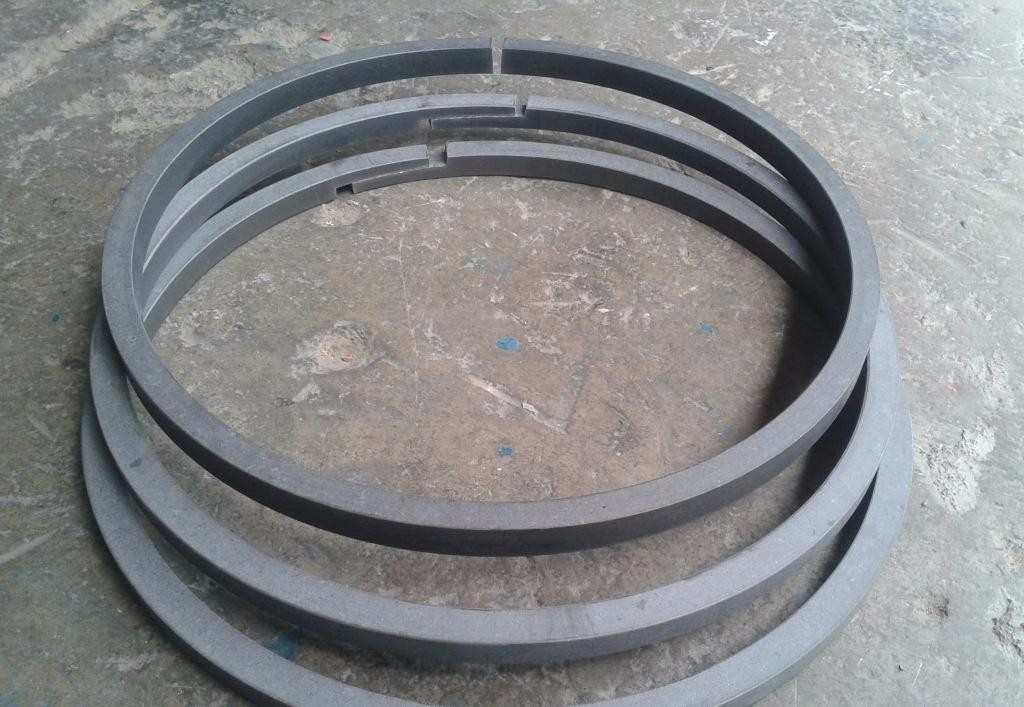 PTFE guide ring